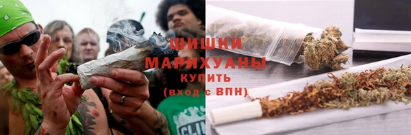 индика Горнозаводск