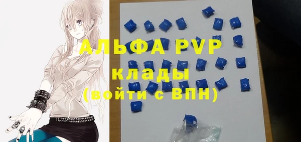 молекула духа Вязьма