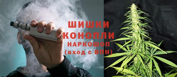 молекула духа Вязьма