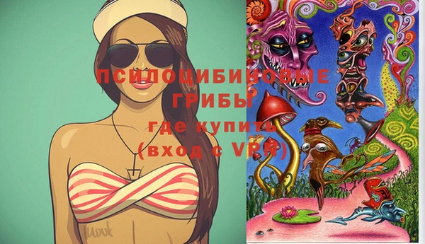 экстази Ветлуга