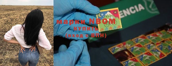 экстази Ветлуга